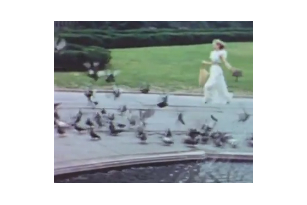 요정의 빛 스틸이미지, 공원에서 비둘기떼를 향해 달려가는 여자아이
